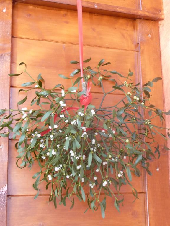 Haus Rosenrot Διαμέρισμα Bischofswiesen Εξωτερικό φωτογραφία